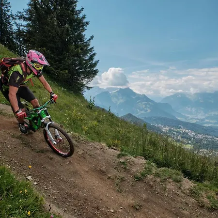 Aigle Royal B07 Gryon