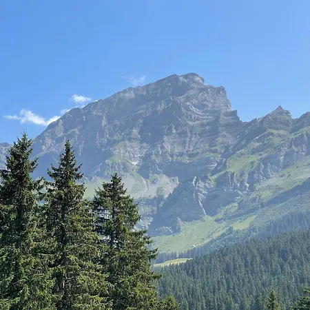 Aigle Royal B07 아파트