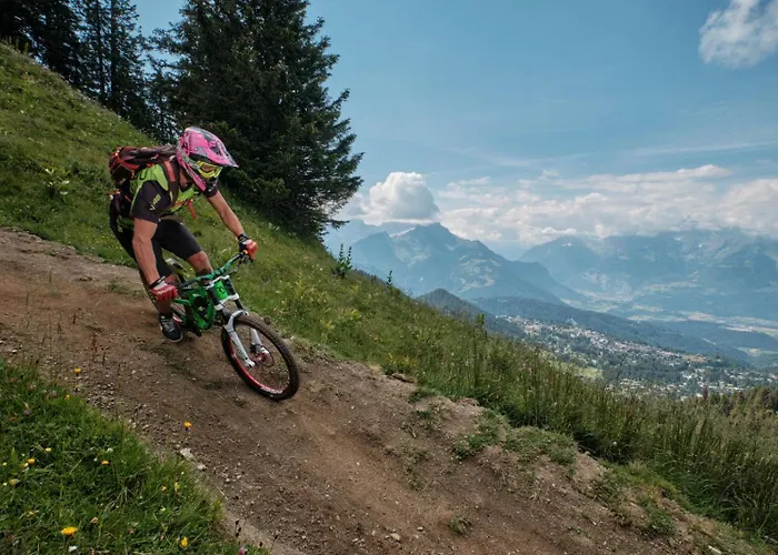 Aigle Royal B07 グリオン